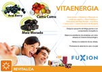 Vitaenergía